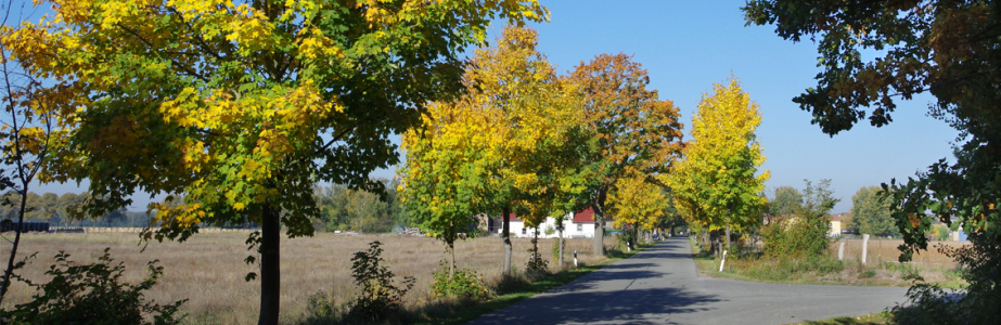 Herbst   Bdf Strasse  Kreuzung Schulstr.